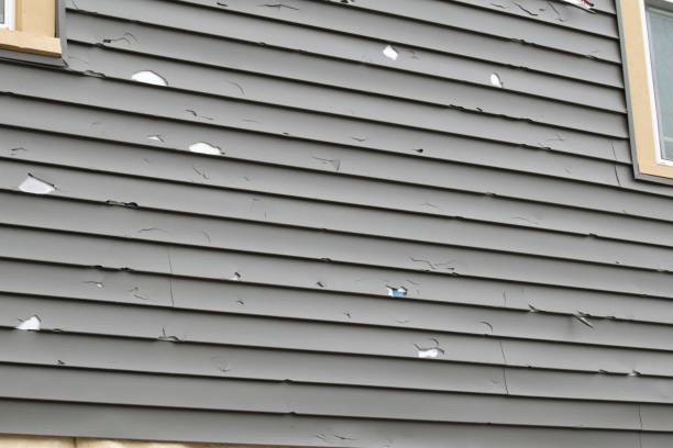 Best Hoarding Cleanup  in San Carlos Park, FL